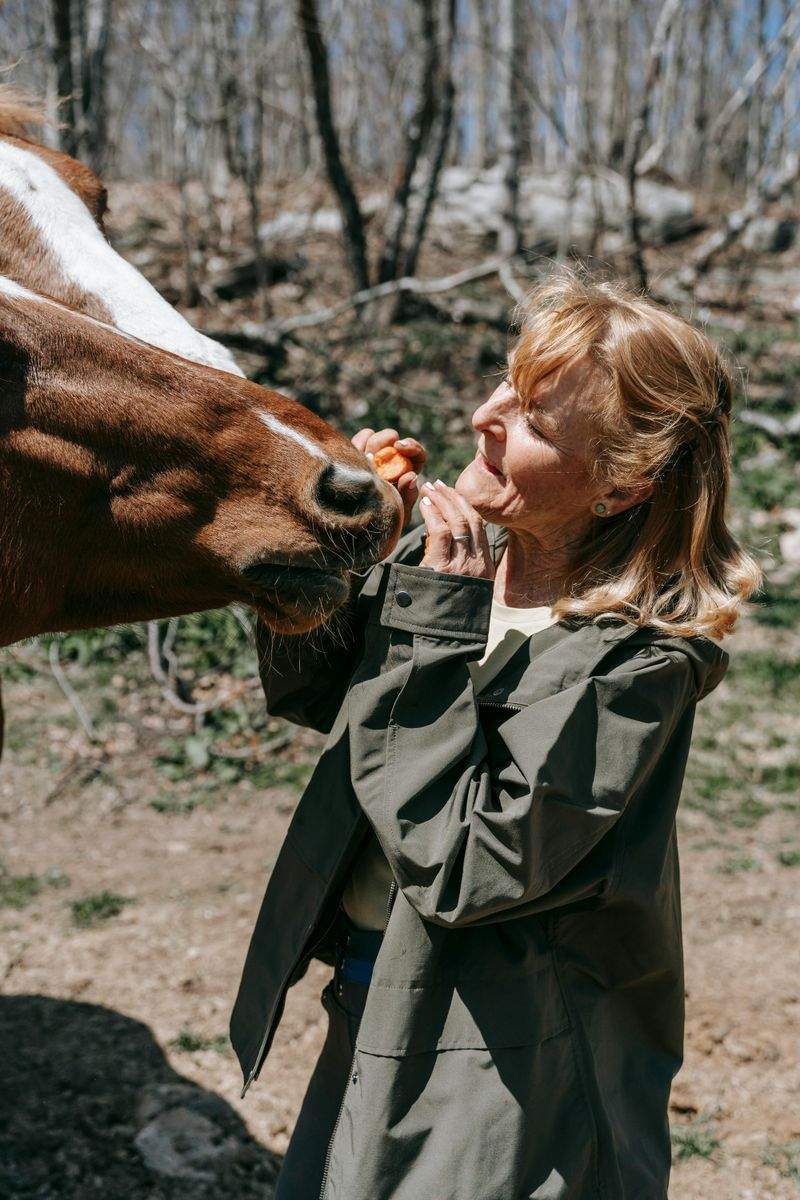 Sapori D'Italia - Image 14